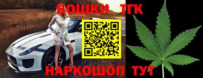 индика Жуковский
