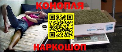 индика Жуковский