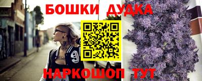 индика Жуковский