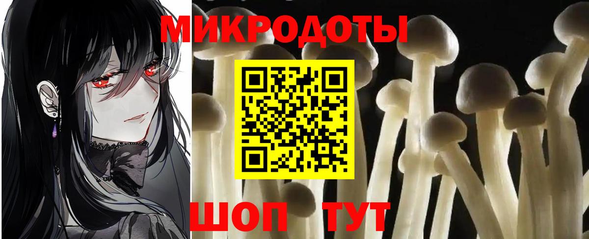 Псилоцибиновые грибы Cubensis Вятские Поляны